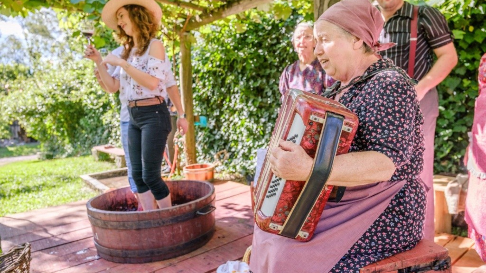 Serra Gaucha + Vindima 06